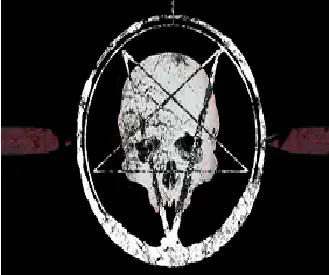 Incineration In The Infinite : Rituals of Satanic Embracement